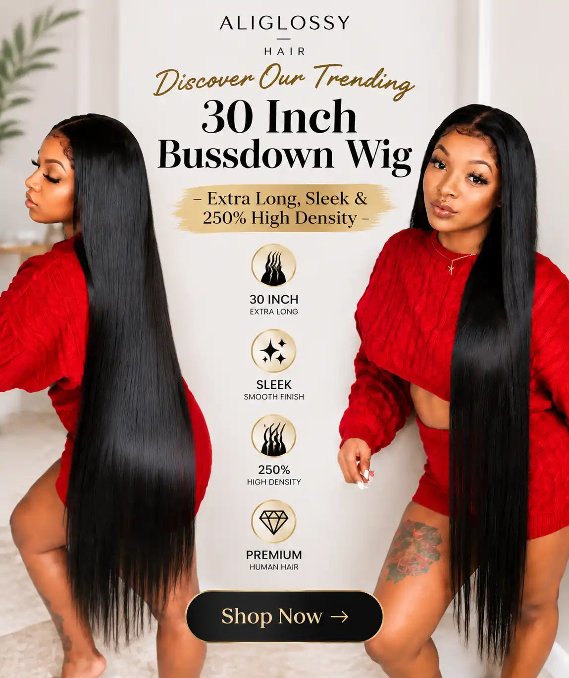 ALIGLOSSY 30 Inch Straight Bussdown Wig: extra long natural black hair, sleek smooth finish, 250% density human hair wig 